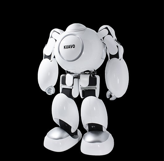 Rapid prototype- Robot