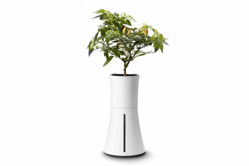 Smart Vase